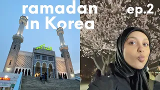 mosquée de Séoul et la saison des sakura 🌸🕌 [Ramadan series - ep.2]