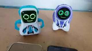 Pokibot robots  testing