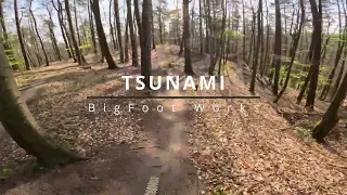 [BigFoot Works] Tsunami