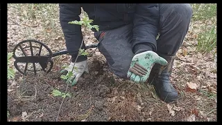 10 копеек Царя Владимира, "золотой" кольцеперстень, монеты и т.д. | Коп 2024