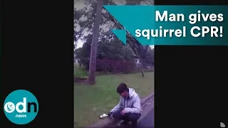 Good Samaritan revives squirrel with CPR!