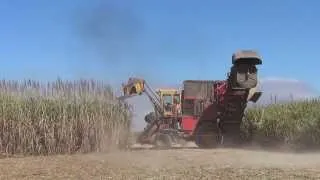 Sugar Cane Harvester in Australia