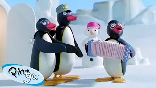 Pingu and Friends 🐧 | Pingu - Official Channel | Cartoons For Kids