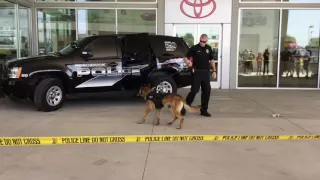 K9 Demo