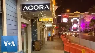 Grasshopper Swarm Floods Las Vegas Strip