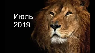 Прогноз для знака Лев июль 2019