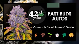 22 Best Fast Buds Autoflower Strains: Seed Buyers' Guide