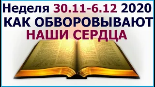 Неделя 30 ноября - 6 декабря 2020 г.: о важности сохранения двух основных духовных ценностей