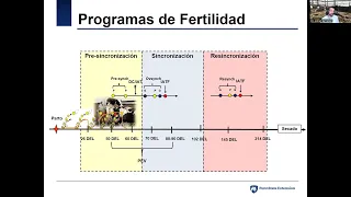 Manejo reproductivo en la vaca lechera. Los protocolos de sincronización no lo son todo