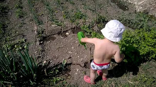 Permakulturní zahrada v půli května aneb jak to vypadá u Slámy v botách