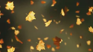 Falling Autumn Leaves Background loop