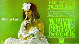 Herb Alpert & The Tijuana Brass   Ladyfingers Mattrixx Remix