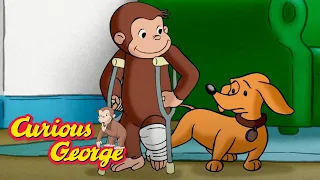 Curious George 🐵Housebound! 🐵Kids Cartoon 🐵Kids Movies 🐵Videos for Kids