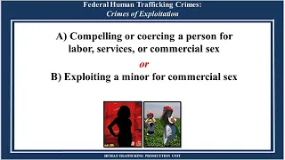 Combatting Human Trafficking Through Collaboration