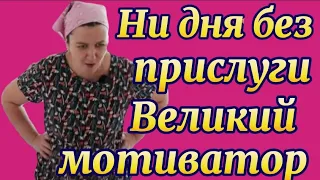 Что бы делала без помощниц?!😨Трудяга!🤣Деревенский дневник.