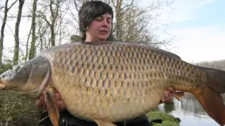 Top 10 Biggest Carp in the World