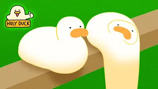 Ducks are Cheese