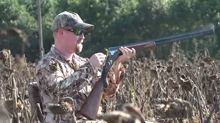 Caesar Guerini Dove Hunt 2018