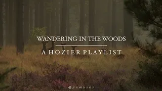 secretly following hozier into the mystical woods and he’s drunkenly slurring poetry