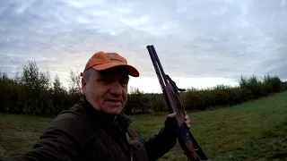 Первый бекас с ружьем Ata Arms SP Woodcock