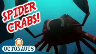 Octonauts - The Spider Crabs | Full Episode | Cartoons for Kids