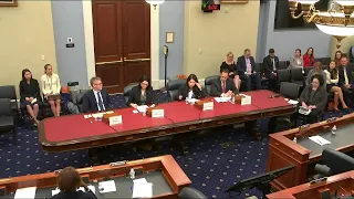 House Intelligence Open Hearing on China's Digital Authoritarianism