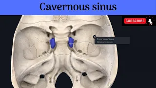 Paired Dural Venous Sinuses-The Cavernous Sinuses |Situation |Relations |Tributaries |Communications