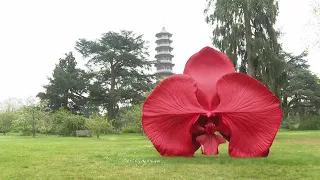 Science and nature inspire huge new sculpture series at London's Kew Gardens