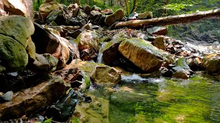 A gentle mountain stream. Nature sounds for relaxation, meditation and sleep.