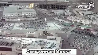 Один из признаков приближения судного дня