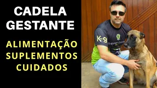 Cadela GESTANTE - Alimentação, suplementos e cuidados!