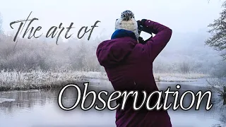 The Art of Observation | Saying Goodbye To Winter