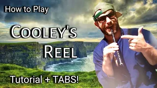 COOLEY'S REEL Tin Whistle Tutorial + TABS!!