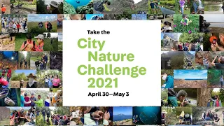 2021 City Nature Challenge