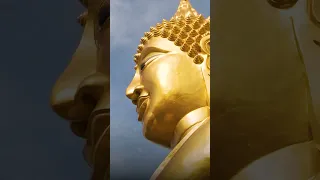 Where are we now? PART 2 #buddha #pattaya #thailand #travel#travelblogger #4k