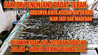 Padat Tebar Ikan Nila Sistem RAS||#budidayaikannila#tutorial