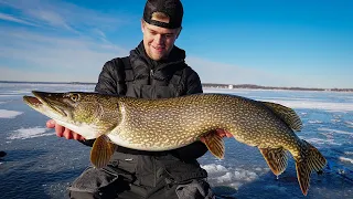 Ice Fishing GIANT Northern Pike (Tip Up Fishing)