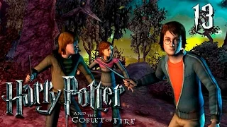 Harry Potter and The Goblet of Fire - Прохождение pt13 - Третий тур: Лабиринт