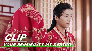 Clip: Getting Married! | Your Sensibility My Destiny EP18 | 公子倾城 | iQiyi