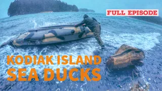 Kodiak Island Sea Ducks