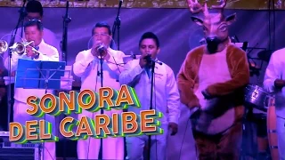 Sonora Del Caribe - Concierto Pura Feria