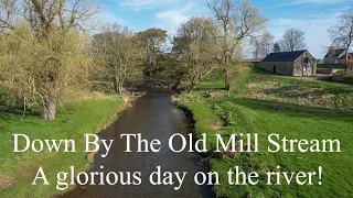 Down By The Old Mill Stream: Scottish Small Stream Fly Fishing