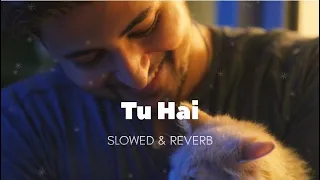 Tu Hai | Darshan Raval | slowed & Reverb #lofi  @Lofihiphop720 …