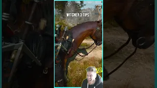 The Only NEW Animations That Matters in the Witcher 3 Next Gen Update!