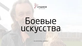Виталий Сундаков  - Боевые искусства