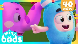 La Gran Aventura de Lulu |🌈 Caricaturas para niños🌈 | Minibods en Español