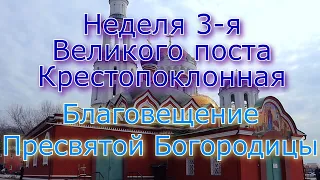 ☦️ Благовещение • Крестный ход • Евангелие • Проповедь о.Василия. Храм Московских Святых(07.04.2024)