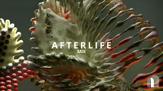 Afterlife Tour Mix 2023 | Best Unreleased Tracks | Anyma- Rebūke-Cassian -Omnya-Kevin De Vries...