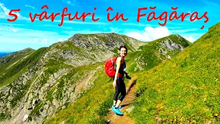 Muntii Fagaras - Traseu circuit: Transfagarasan - Paltinu - Laitel - Negoiu - Lespezi - Caltun