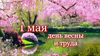 Прикольное поздравление с 1 Мая!